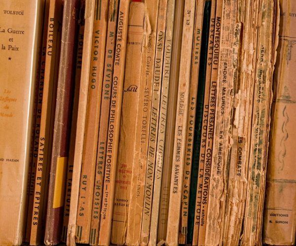 French to English academic translation